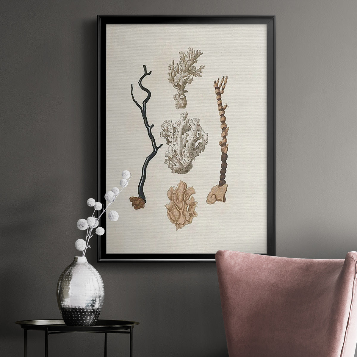 Knorr Shells & Coral V - Modern Framed Canvas Print