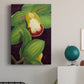 Lime Orchid II Premium Gallery Wrapped Canvas - Ready to Hang