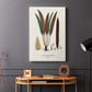 Botanical Society Ferns I - Canvas Art Print
