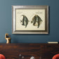 Bloch Antique Fish I Premium Framed Canvas- Ready to Hang