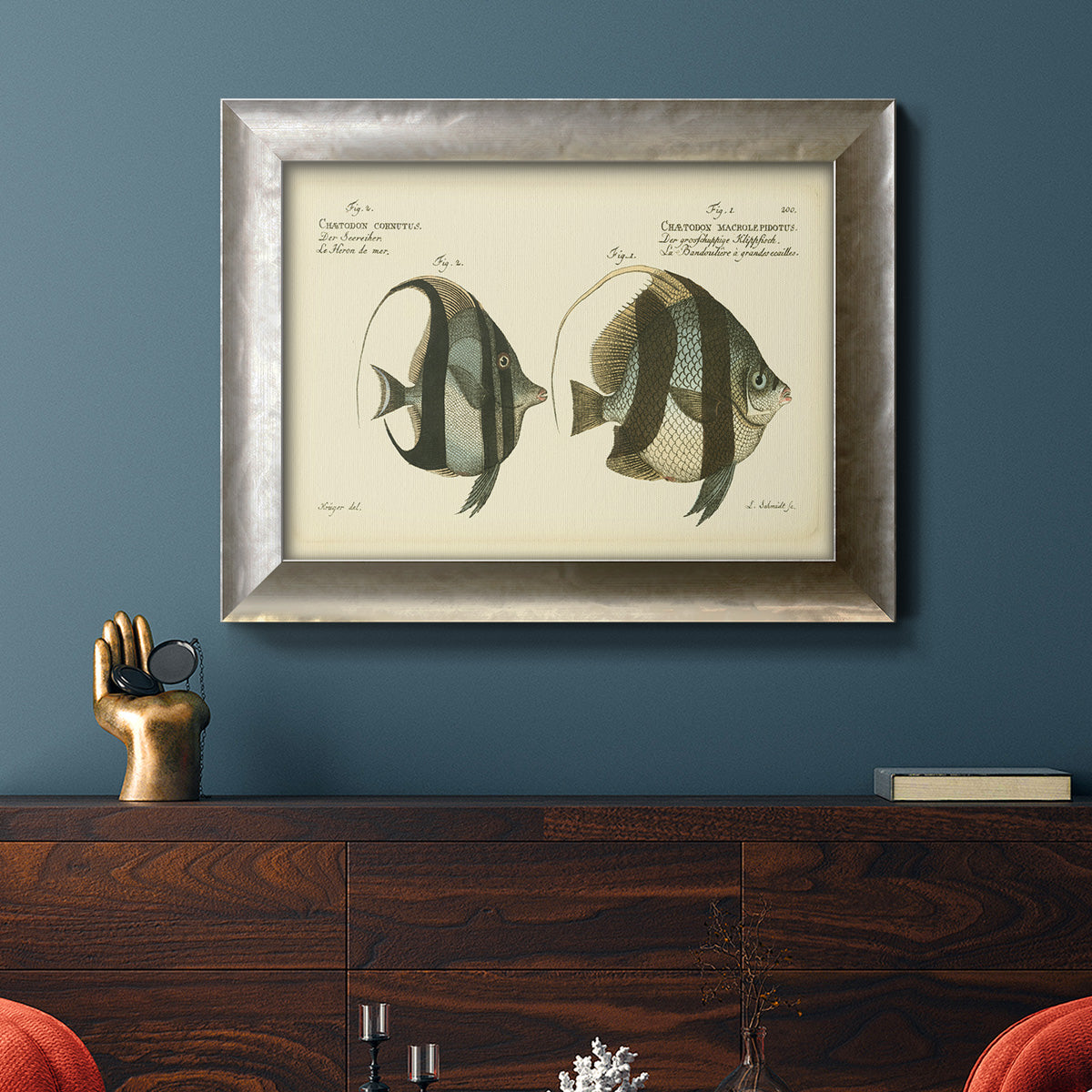 Bloch Antique Fish I Premium Framed Canvas- Ready to Hang