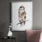 Barred Owl Impressions I - Modern Framed Canvas Print