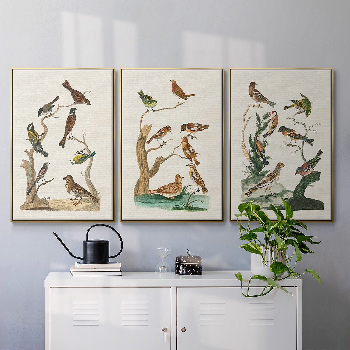 Antique Birds in Nature I - Framed Premium Gallery Wrapped Canvas L Frame 3 Piece Set - Ready to Hang