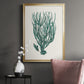 Antique Coastal Coral VIII - Modern Framed Canvas Print