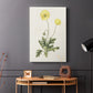 Flowers of the Seasons XII - Canvas Art Print