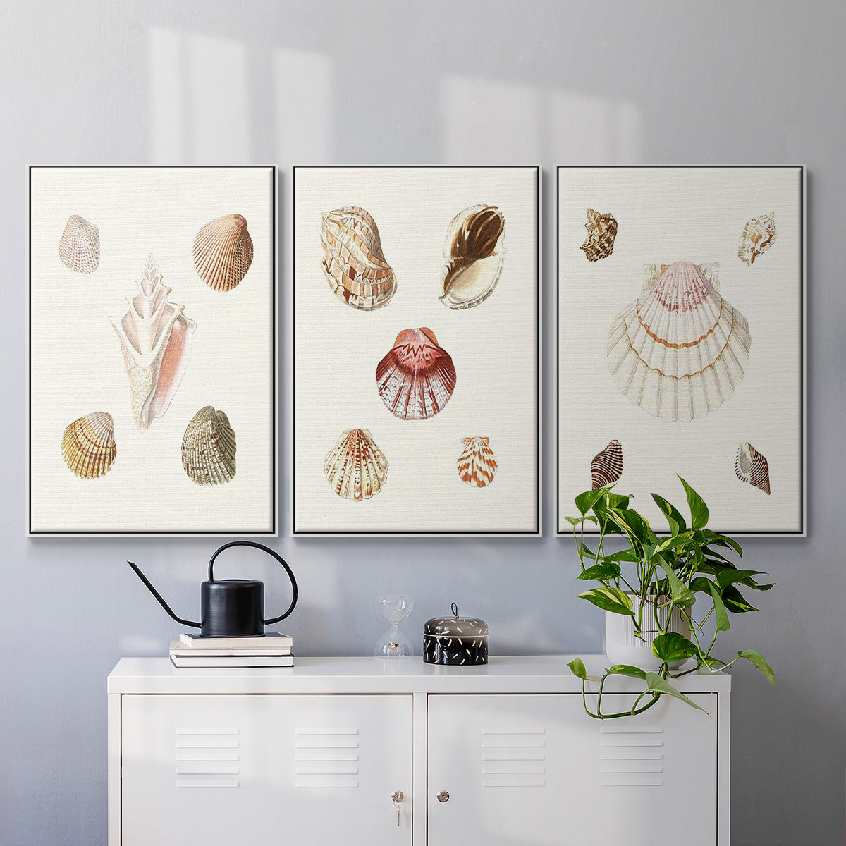 Pastel Knorr Shells IV - Framed Premium Gallery Wrapped Canvas L Frame 3 Piece Set - Ready to Hang