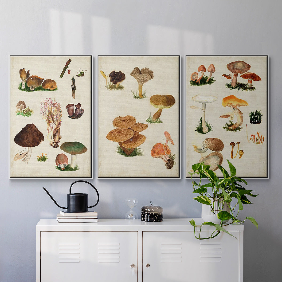 Mushroom Species IV - Framed Premium Gallery Wrapped Canvas L Frame 3 Piece Set - Ready to Hang