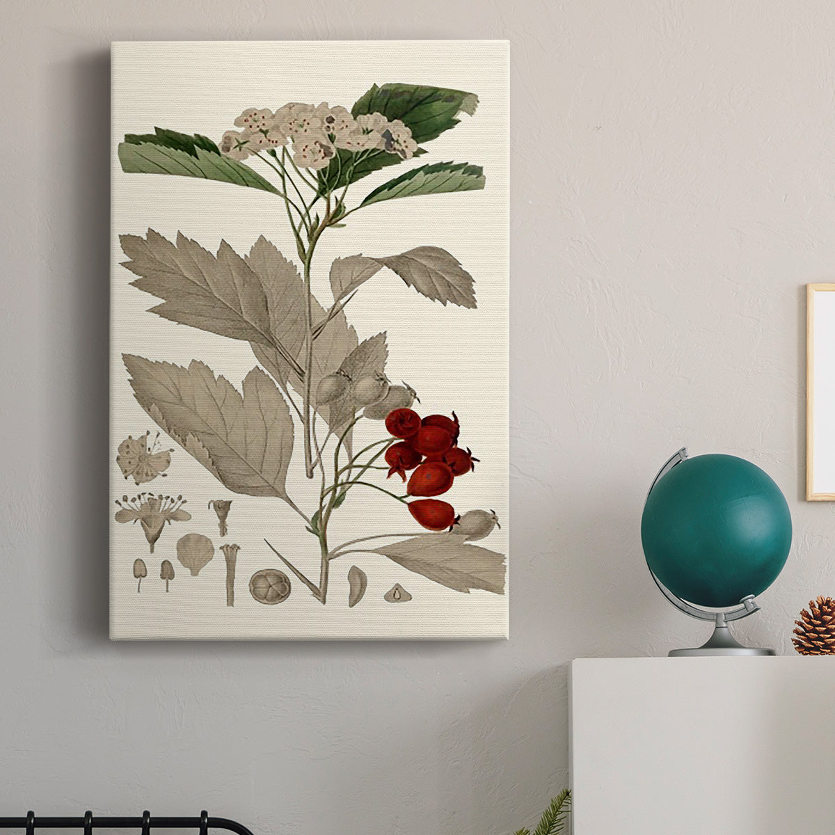 Leaves & Berries I - Canvas Art Print