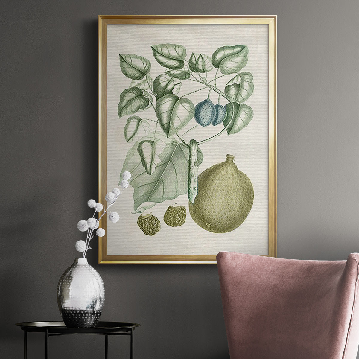 Buchoz Tropicals VIII - Modern Framed Canvas Print