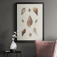 Knorr Shells & Coral IX - Modern Framed Canvas Print