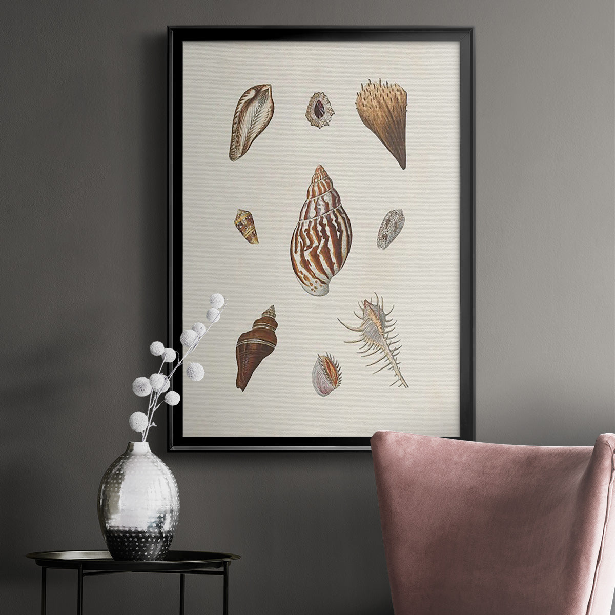 Knorr Shells & Coral IX - Modern Framed Canvas Print
