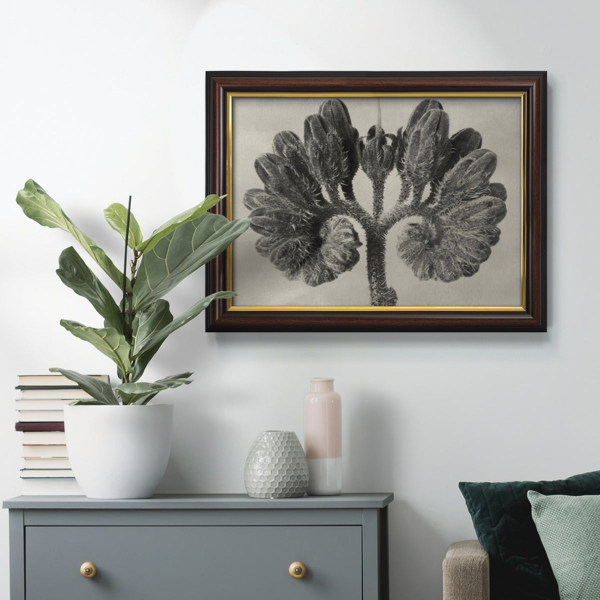 Blossfeldt Botanical VIII Premium Framed Canvas- Ready to Hang