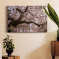 Spring's Arrival - Canvas Art Print