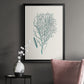 Antique Coastal Coral I - Modern Framed Canvas Print