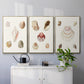 Pastel Knorr Shells I - Framed Premium Gallery Wrapped Canvas L Frame 3 Piece Set - Ready to Hang