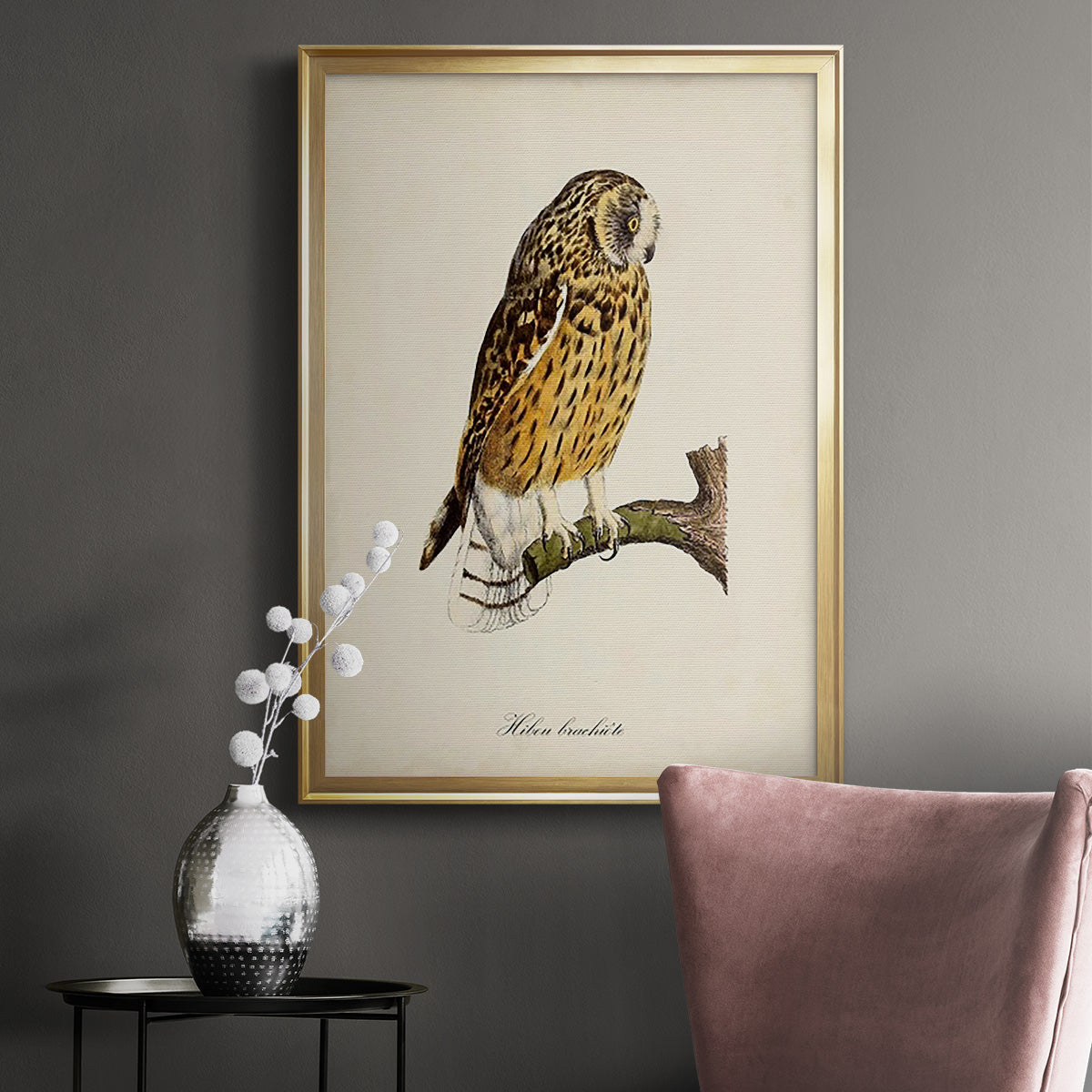 French Owls II - Modern Framed Canvas Print