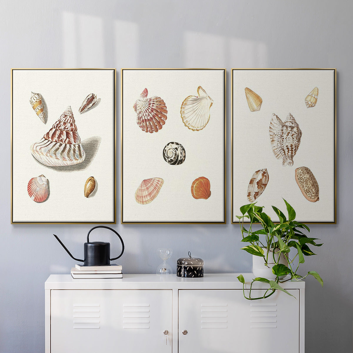 Pastel Knorr Shells IV - Framed Premium Gallery Wrapped Canvas L Frame 3 Piece Set - Ready to Hang