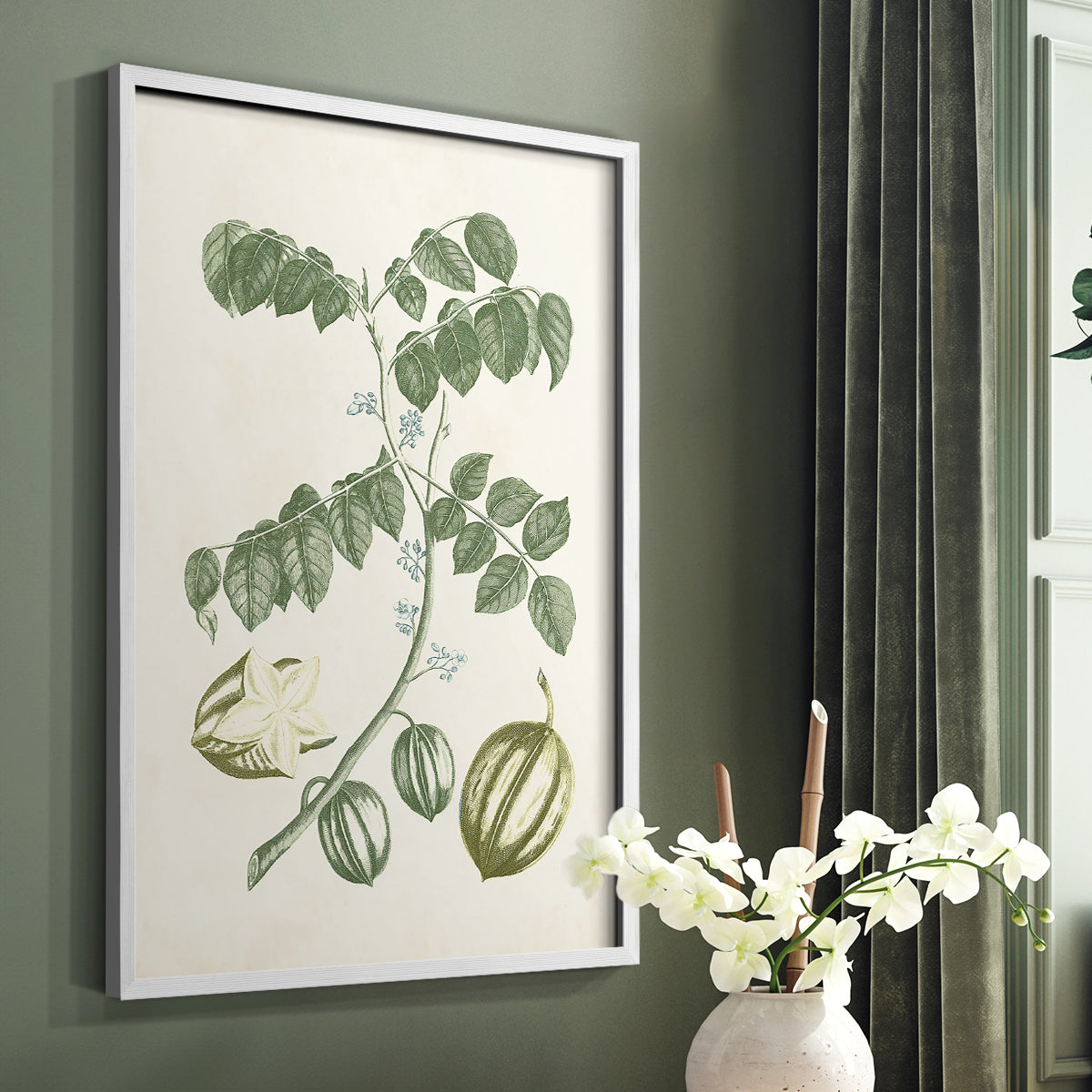 Buchoz Tropicals II - Restickable Framed Art Print