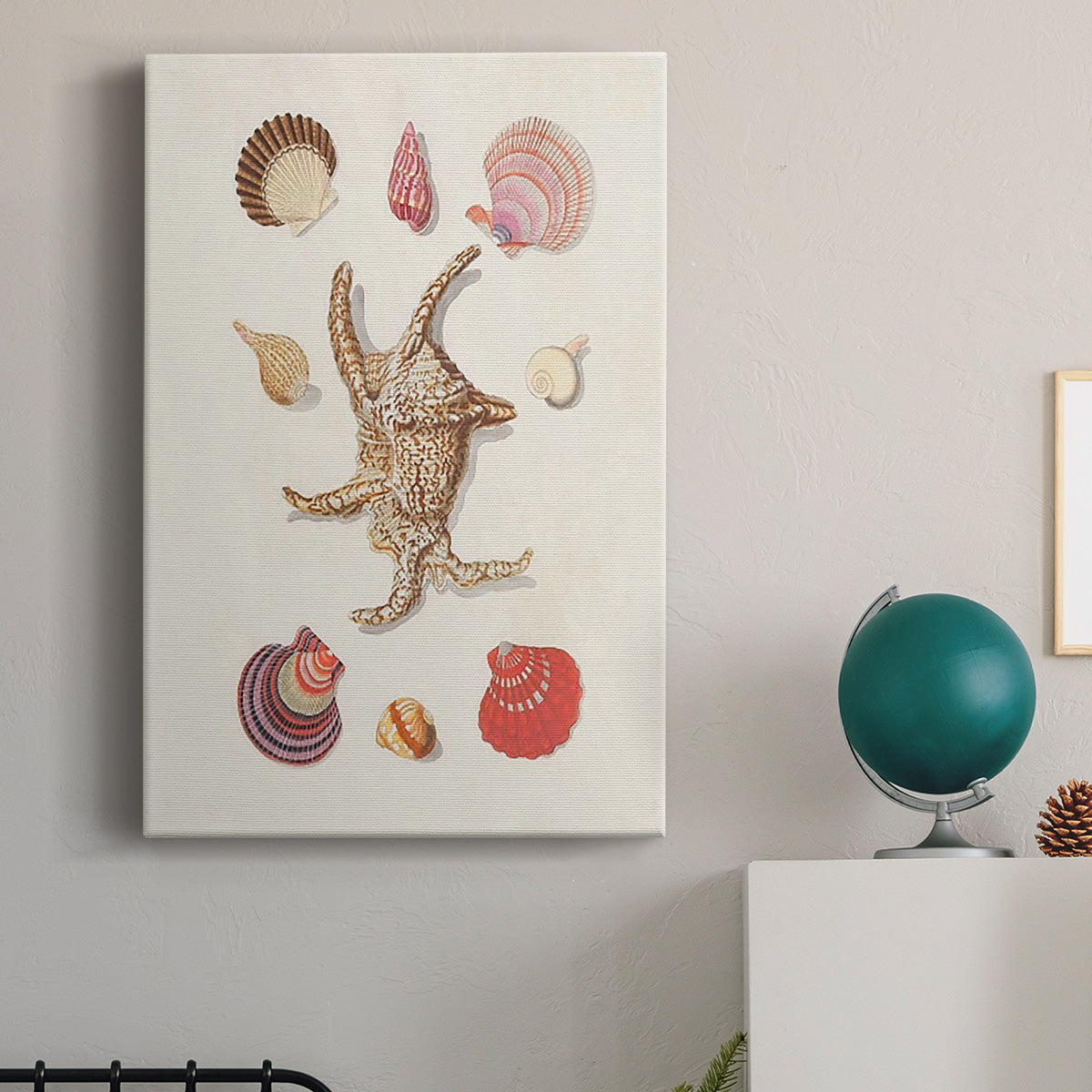 Knorr Shells & Coral II Premium Gallery Wrapped Canvas - Ready to Hang