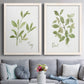 Herb Sage - Premium Framed Canvas 2 Piece Set - Ready to Hang