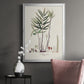 Botanical Society Ferns XI - Modern Framed Canvas Print