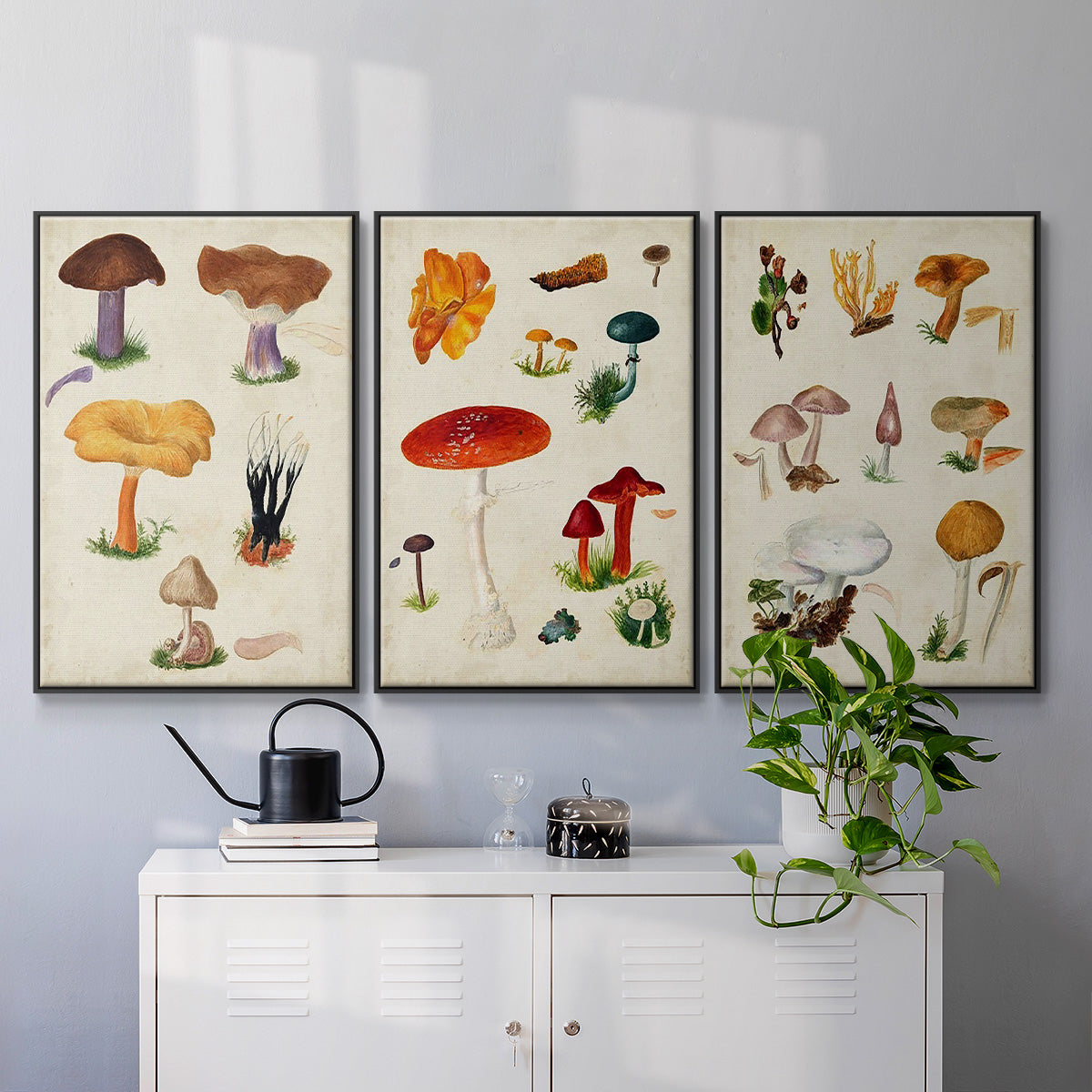 Mushroom Species IV - Framed Premium Gallery Wrapped Canvas L Frame 3 Piece Set - Ready to Hang