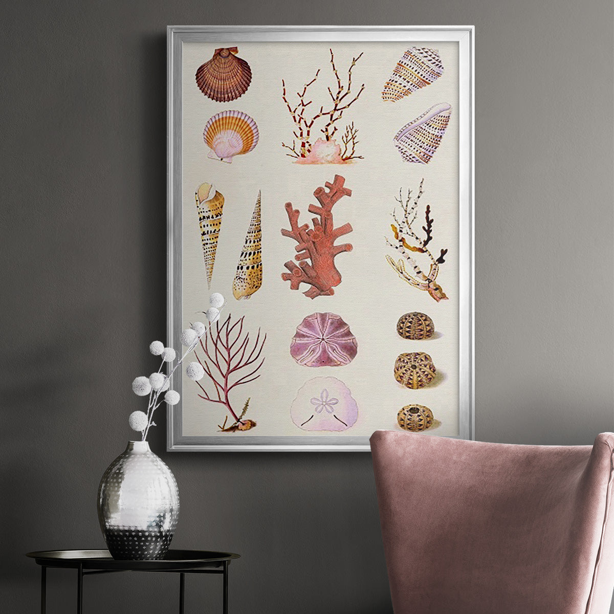 Coral & Shell Collage II -  Framed Canvas Print