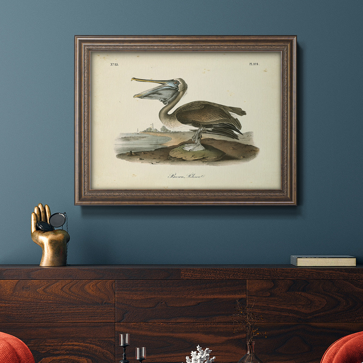 Audubons Brown Pelican - Ornate Framed Canvas Print