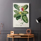 Imperial Tropical Botanical I - Canvas Art Print