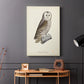 French Owls V - Canvas Art Print