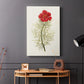 Flowers of the Seasons VII - Canvas Art Print