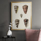 Cone Shell Collection III - Modern Framed Canvas Print