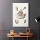 Pastel Knorr Shells VII - Canvas Art Print