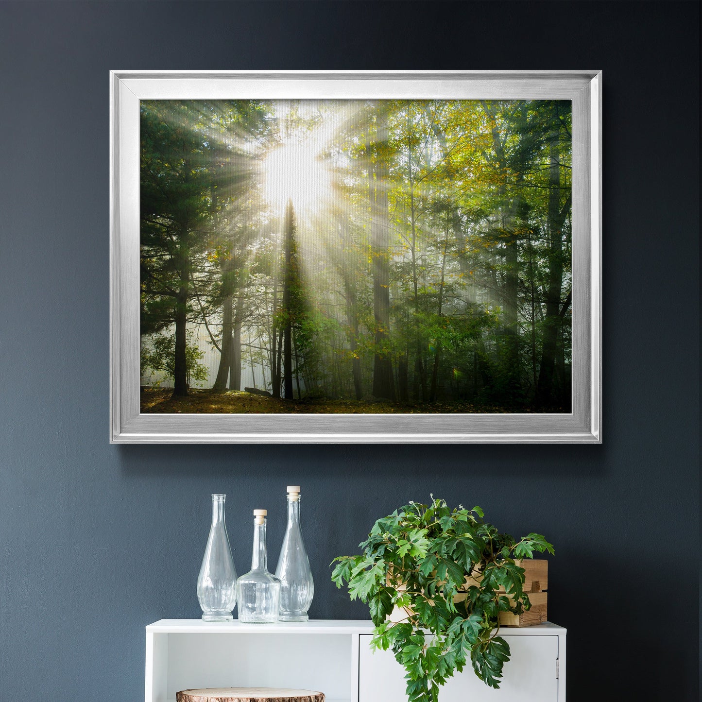 Light and Trees II Premium Classic Framed Canvas - Ready to Hang