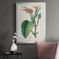 Turpin Tropical Botanicals II - Modern Framed Canvas Print