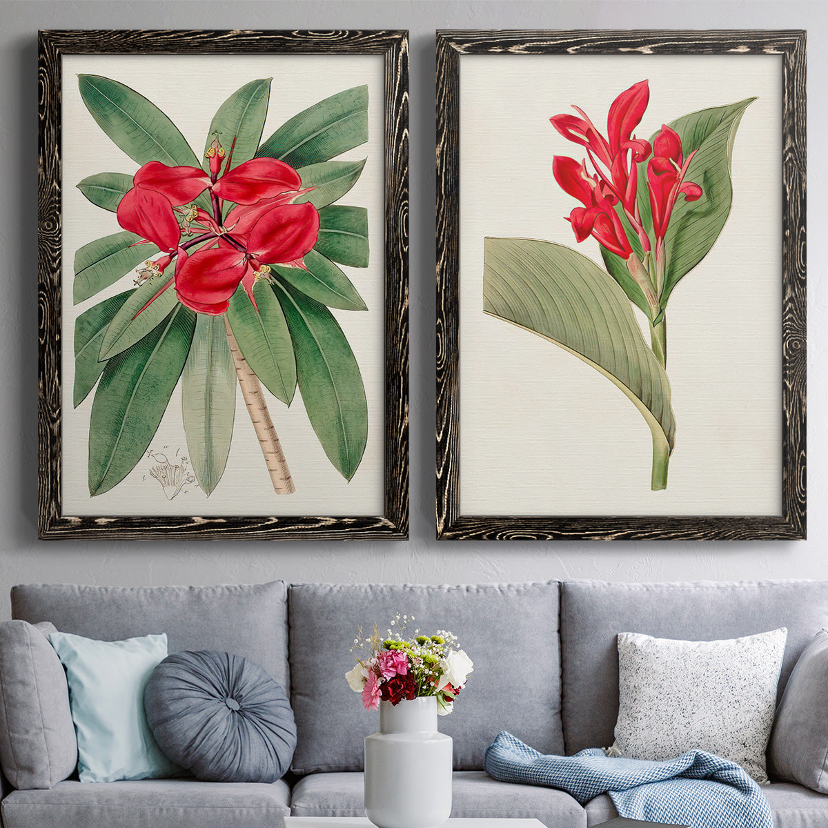 Set of two black barnwood framed canvas prints depicting paired antique botanical plate illustrations with large green leaves, red blossoms, and archival cream paper above a sofa in a contemporary living room.