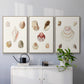 Pastel Knorr Shells I - Framed Premium Gallery Wrapped Canvas L Frame 3 Piece Set - Ready to Hang