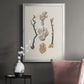 Knorr Shells & Coral V - Modern Framed Canvas Print