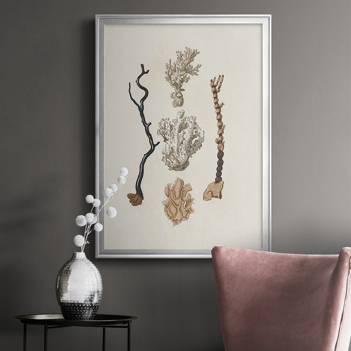 Knorr Shells & Coral V - Modern Framed Canvas Print