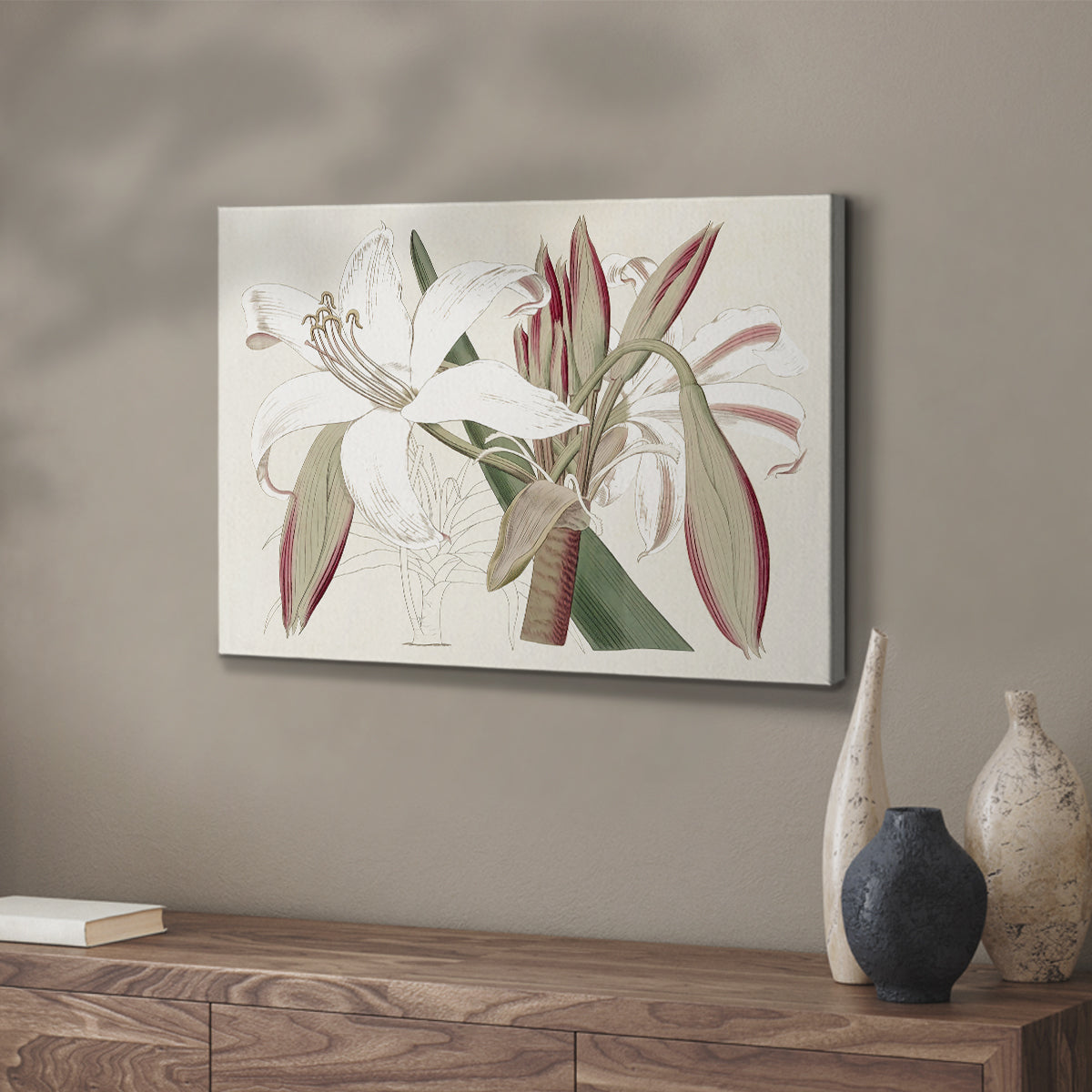 Amaryllis Varietals II - Canvas Art Print