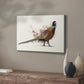 Pheasant Splash 2 - Canvas Art Print