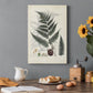 Collected Ferns VI Premium Gallery Wrapped Canvas - Ready to Hang