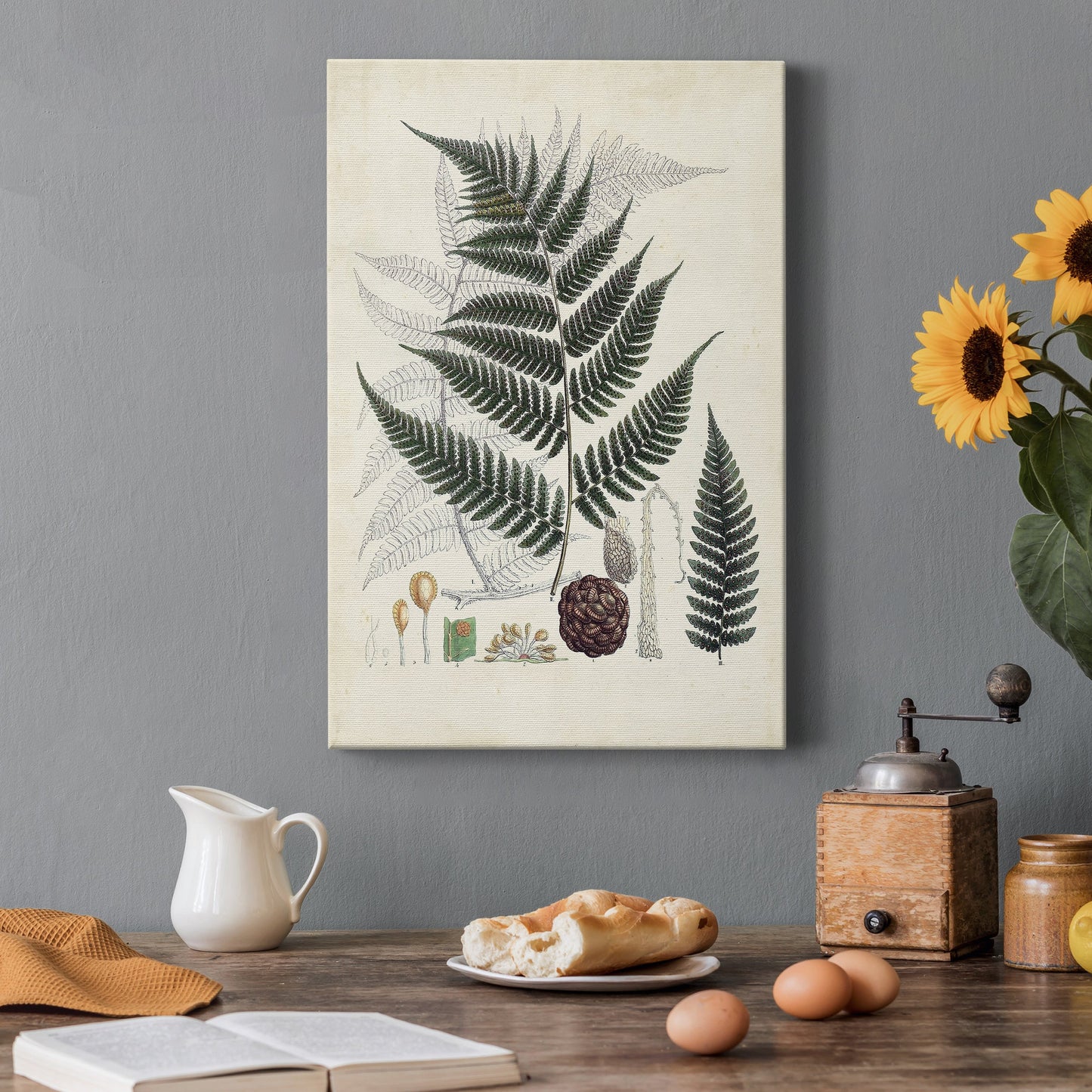 Collected Ferns VI Premium Gallery Wrapped Canvas - Ready to Hang