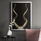 Spiral Antelope Horns -  Framed Canvas Print