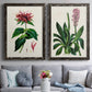 Set of two black barnwood framed canvas prints depicting paired antique botanical plate illustrations with detailed blossoms, leaves, roots, and archival cream grounds above a sofa in a contemporary living room.