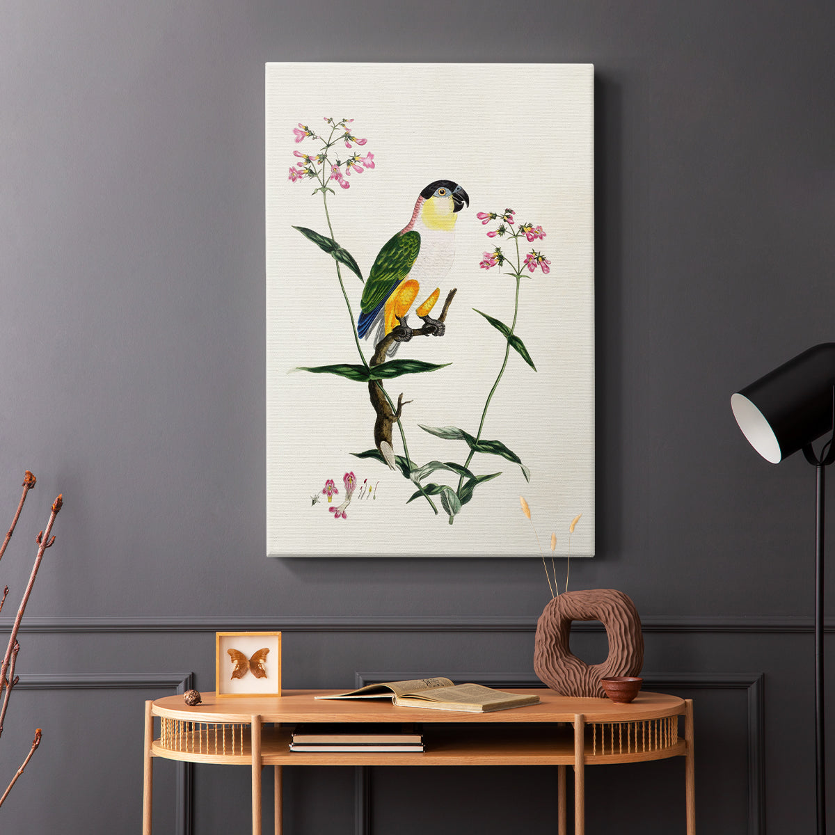 Black-Headed Parrot (Psittacus melanocephalus), 1796 - Canvas Art Print