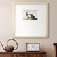 Standing Peacock Premium Framed Print Double Matboard