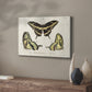 Crackled Butterflies I - Canvas Art Print
