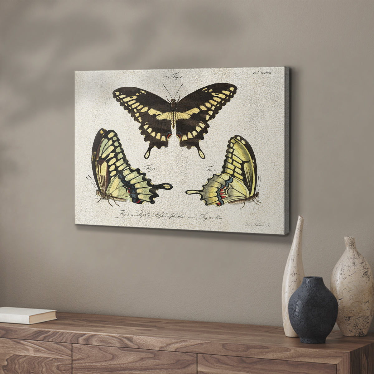 Crackled Butterflies I - Canvas Art Print