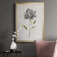 Botanical Beauty II - Modern Framed Canvas Print